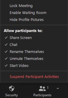 security settings in Zoom