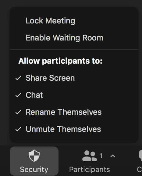 security menu in Zoom